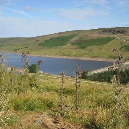 Old Stone * 哈罗盖特