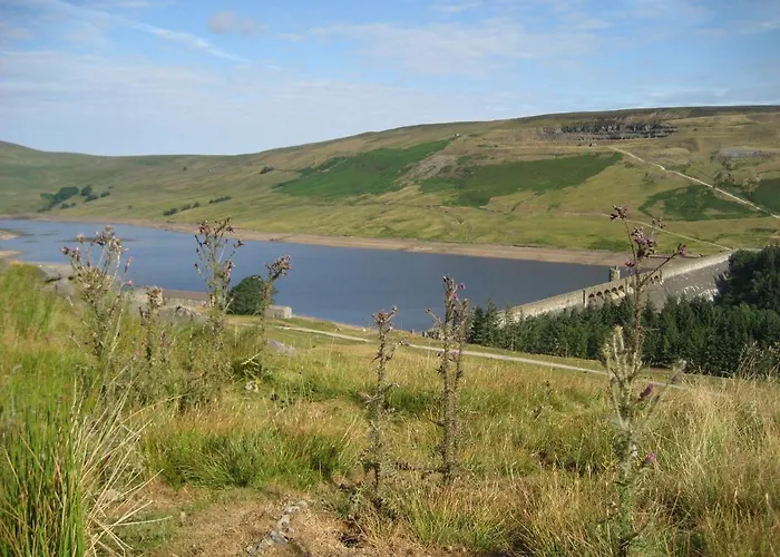 Old Stone * Harrogate