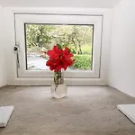 Old Stone בית נופש